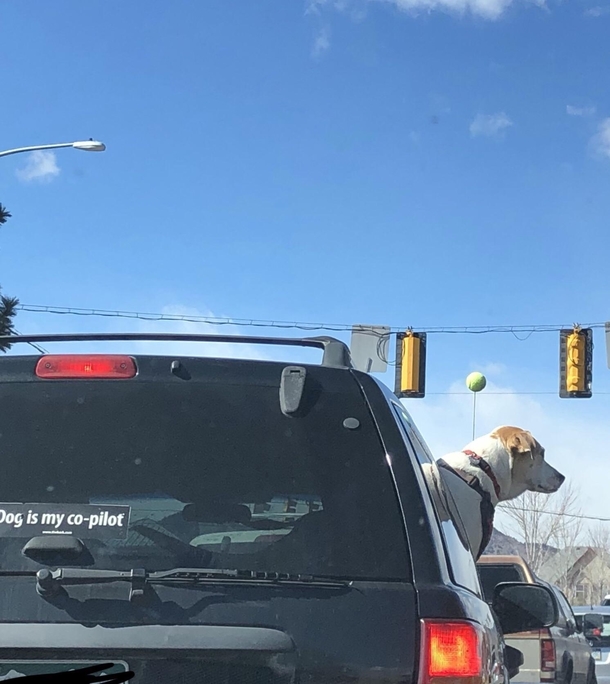 Sticker checks out