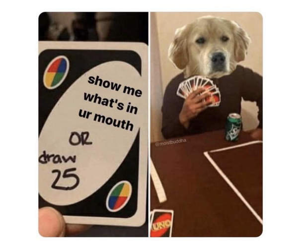 Still a good boy