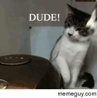 Still my favourite gif ever