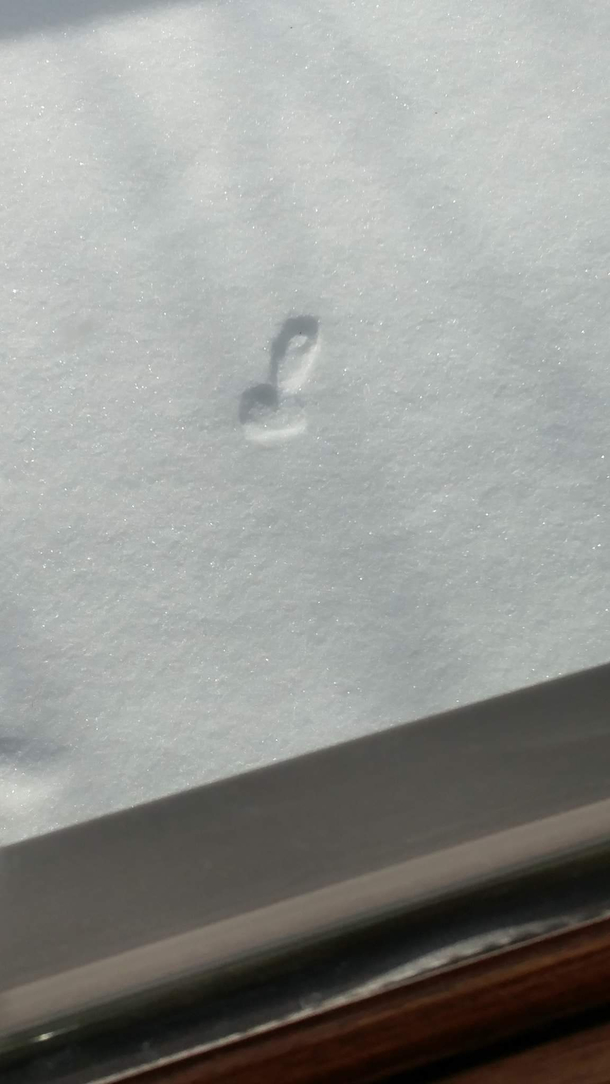 Still not sure how that happened
