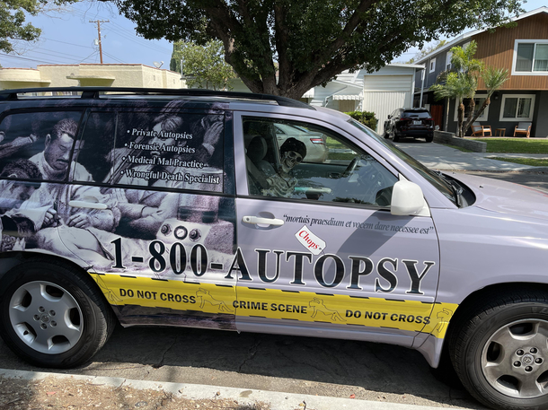 Still not sure if legit business or fully committed to Halloween