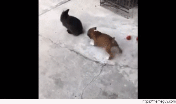 Stop copying me
