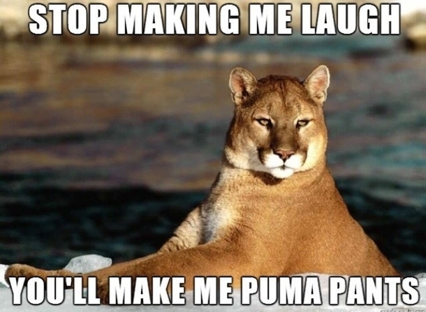 stop making me laugh