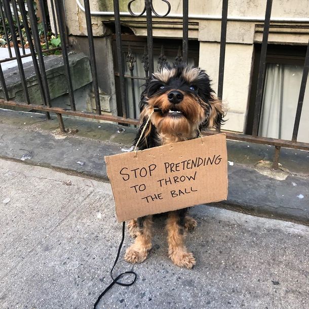 STOP PRETENDING TO THROW THE BALL