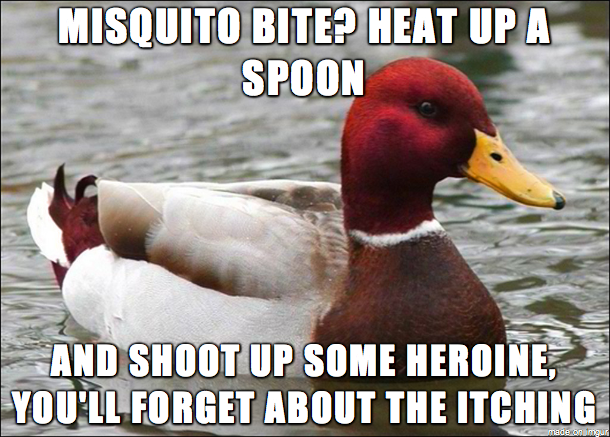 Stop scratching your mosquito bites