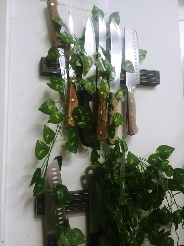 Stopped by work today nature has already started to reclaim