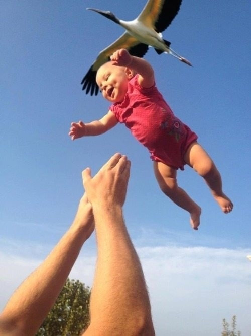 Stork delivery