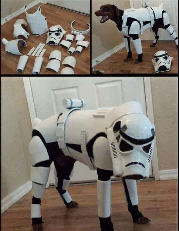 Storm trooper