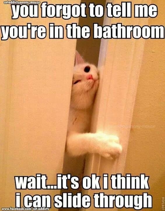 Story of my life
