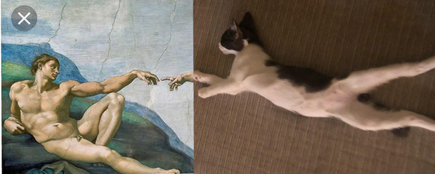 Straight from the mind of my  year old niece with their new kitten All we did was click the mouse here and there What do yas think