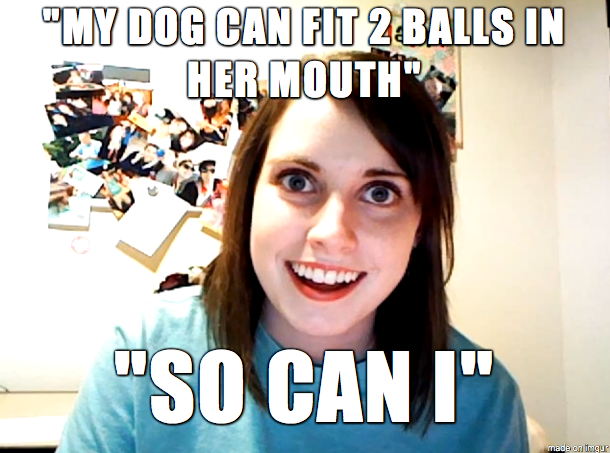 Strange girl at dog park My dog was stealing her dogs ball