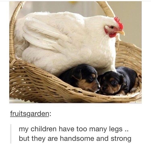 Strong Ones