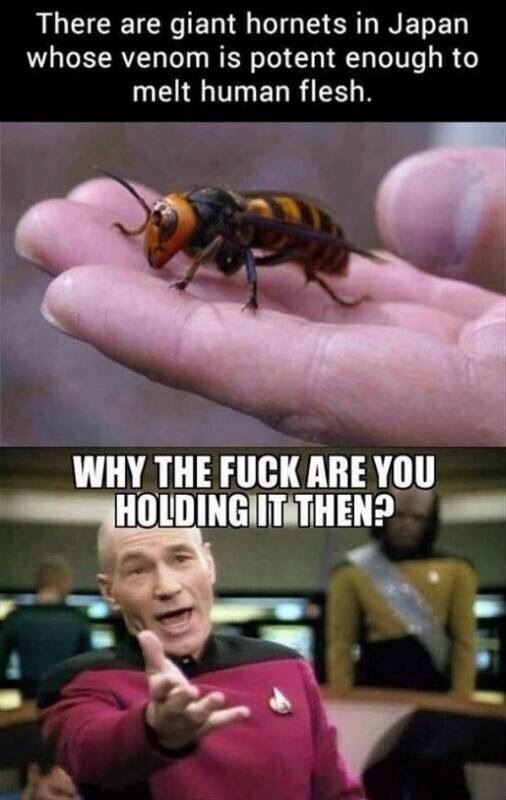 Strong point
