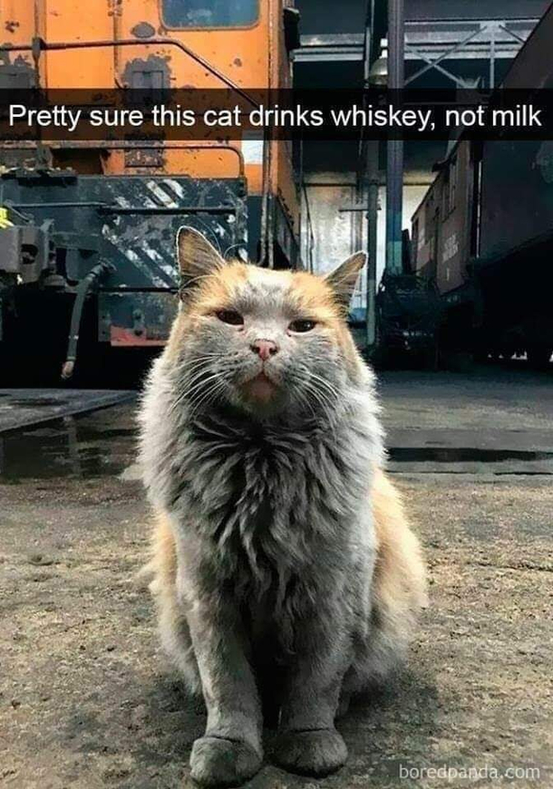 Strong spirits