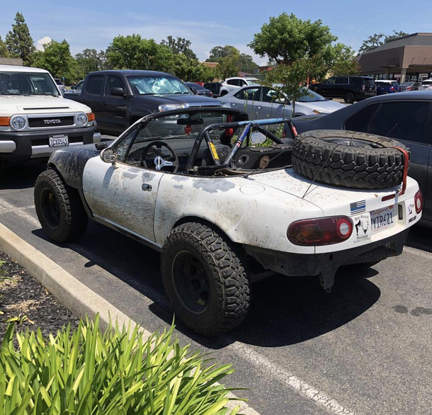 Stumbled upon this guy in the parking lot 