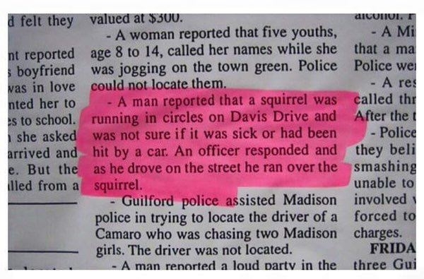 Stupid cop poor squirrel