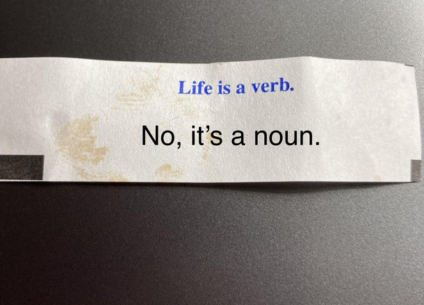 Stupid fortune cookie