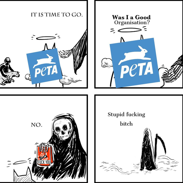 Stupid fucking bitch