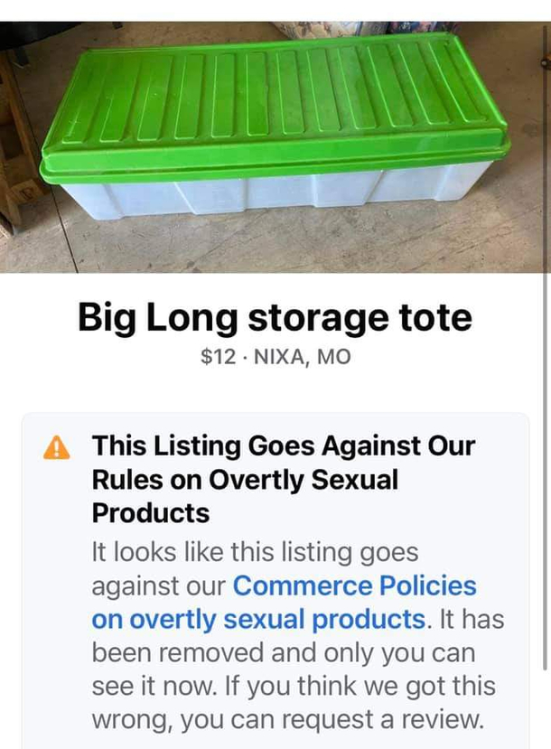 Stupid sexy storage tote