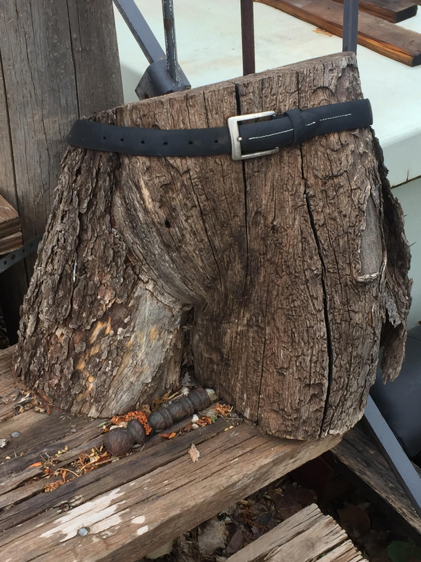 Stupid Sexy Stump