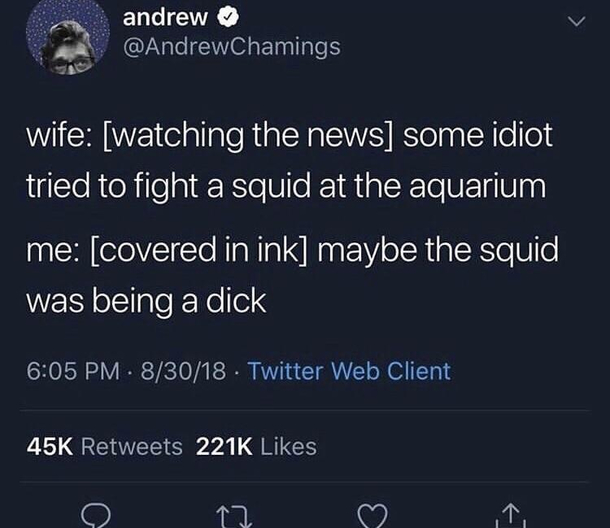 Stupid Squid