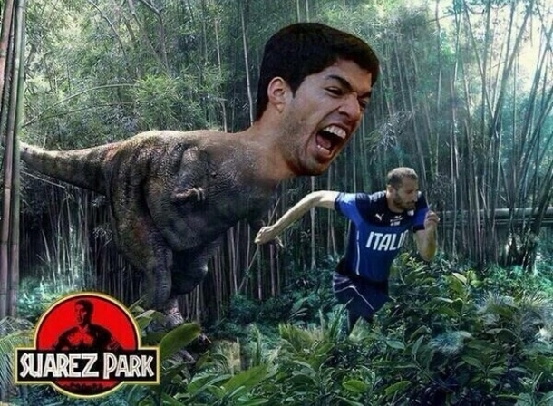 Suarez Park