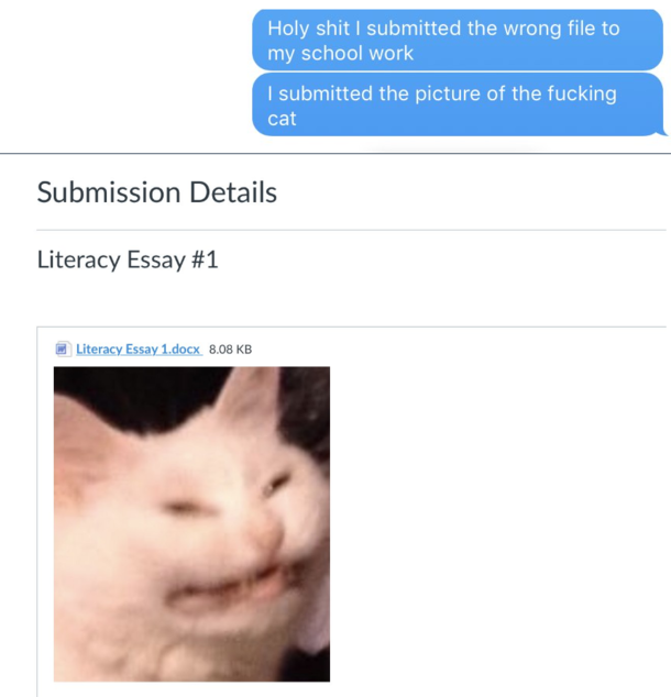 Submitted the wrong essay