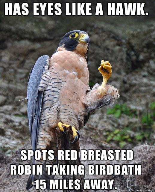 Success Peregrine