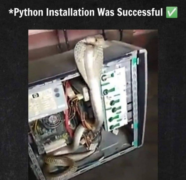 Successfully installed python