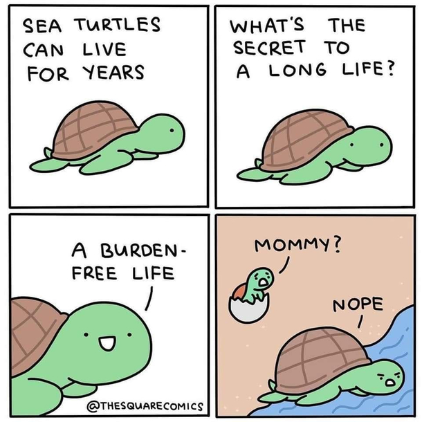 Such a cold-blooded reptile