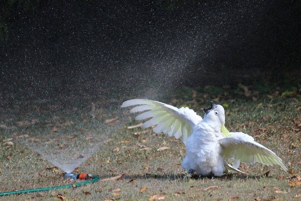 Such a majestic creature