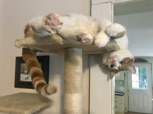 Such a strange gargoyle