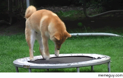 Such bounce