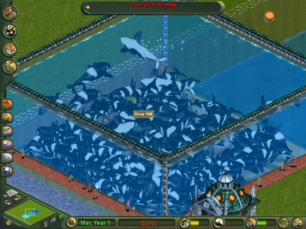 Suck it up Orca 