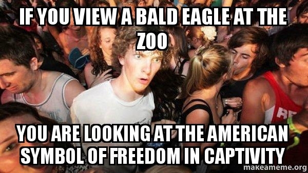 Sudden Clarity Clarence american freedom