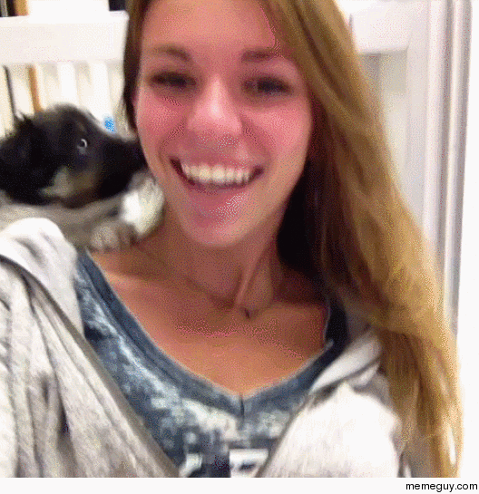 Suffocation by puppies