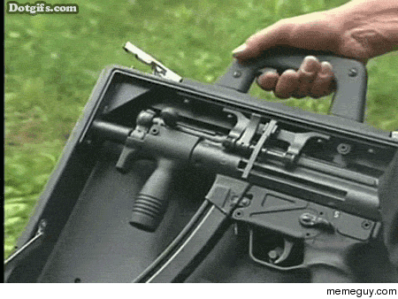 Suitcase gun