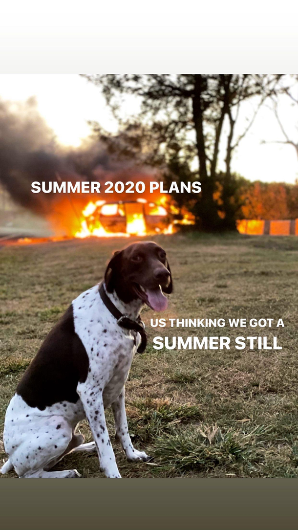 Summer 
