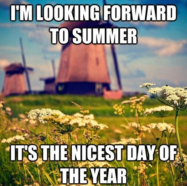 Summer In The Netherlands Meme Guy