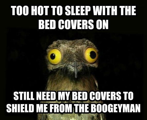 Summertime sleep problems