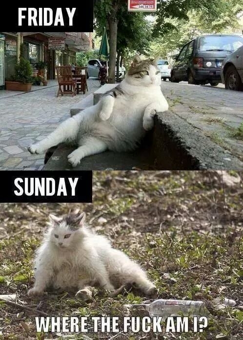 Sums up my weekends