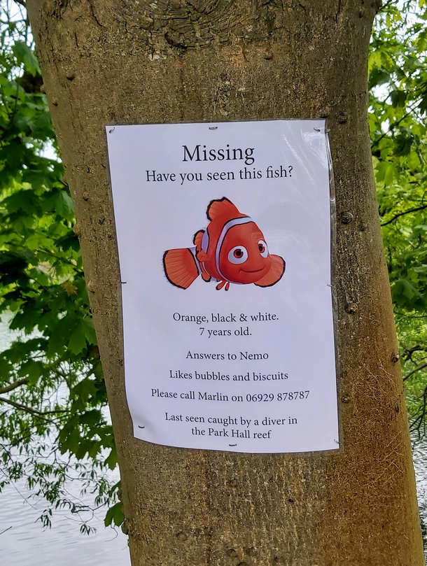 Surely needs to be shared on social media everywhere to maximise the chances of reuniting Nemo with his owner 