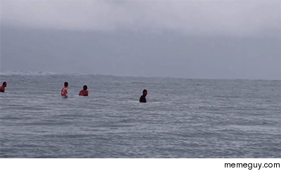 Surfing with breaching whales