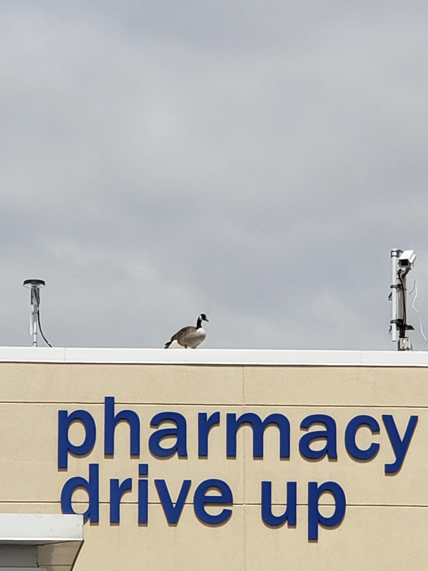 Surveillance really has taken a step up recently