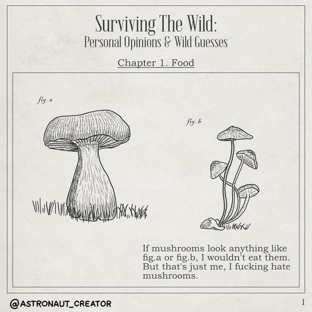 Surviving The Wild - I