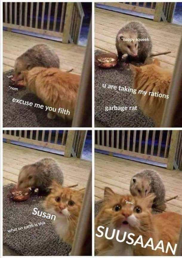 SUSAN WHERE THE F YOU AT