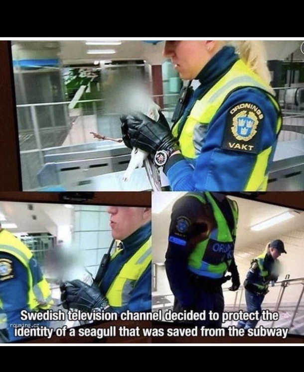swedish police doing gods work