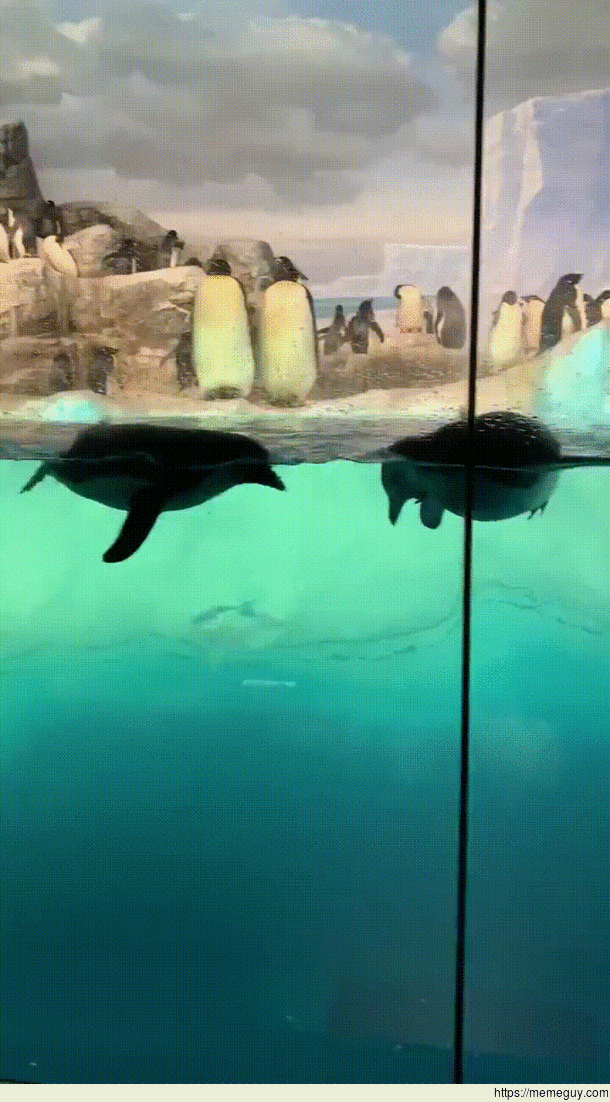 Swimming and jumping with all his might