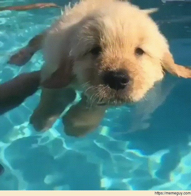 Swimming lessons