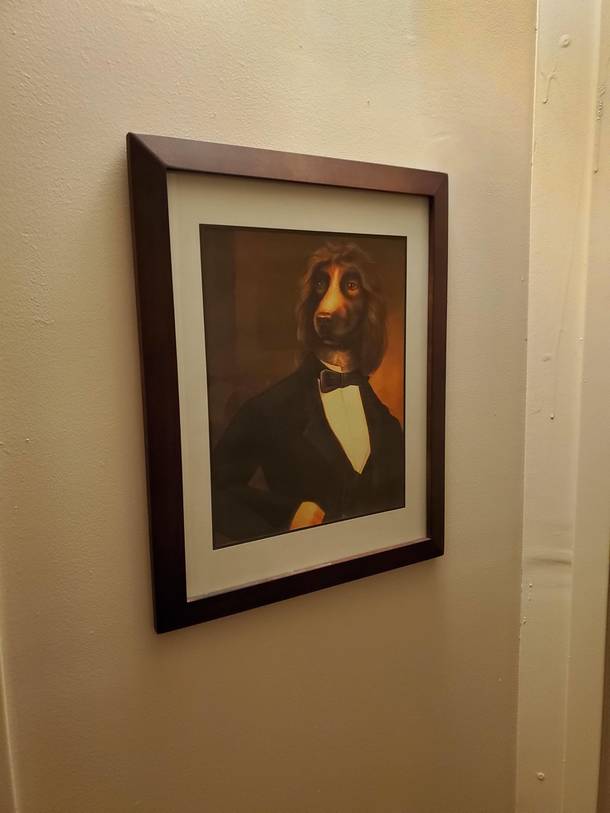Switched out a picture of my younger sister with this fancy boy and no one has noticed for  months